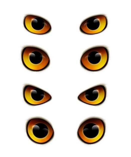 Мифы и реальность о желтых белках глаз